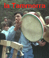 TAMMORRA